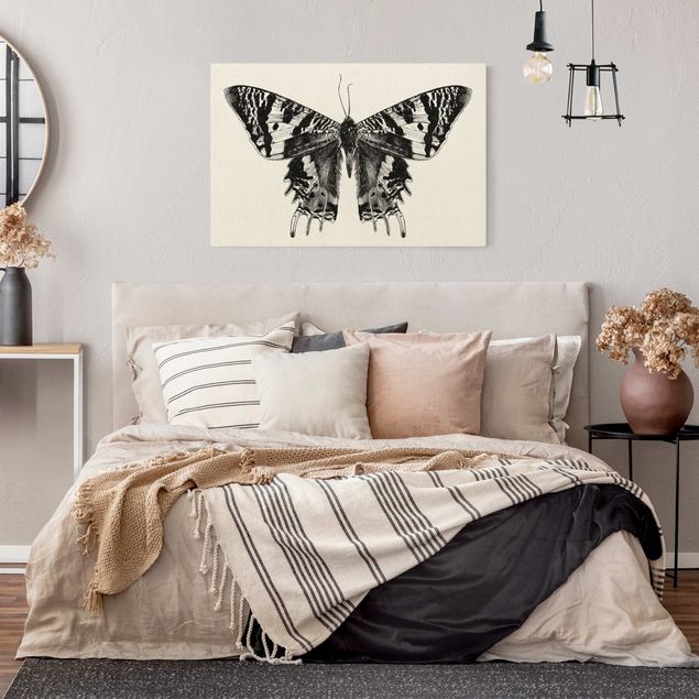 Modern art prints Illustration Flying Madagascan Butterfly