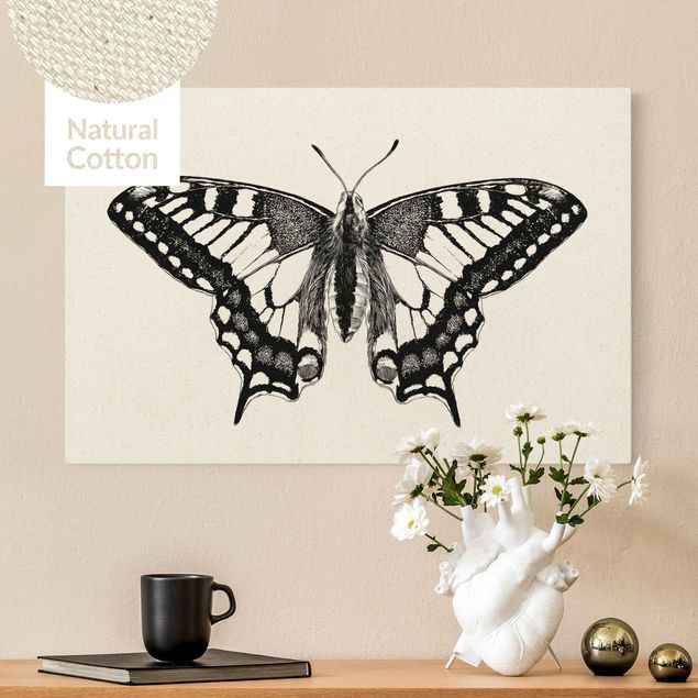 Butterfly framed art Illustration Flying Dovetail Black