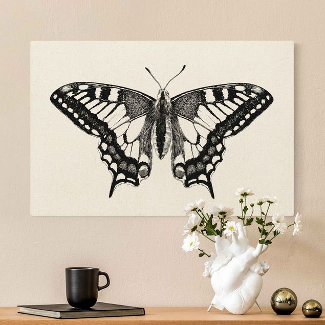 Butterfly canvas art Illustration Flying Dovetail Black