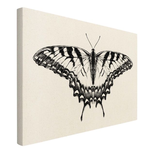 Prints modern Illustration Flying Tiger Swallowtail Black