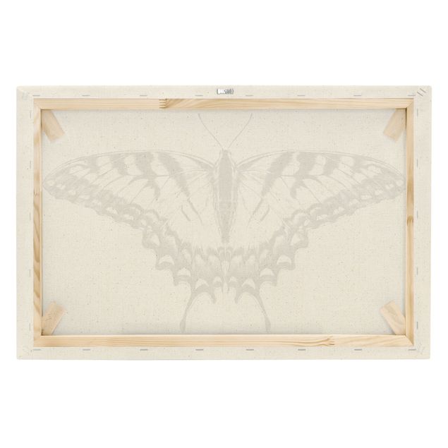 Black art prints Illustration Flying Tiger Swallowtail Black
