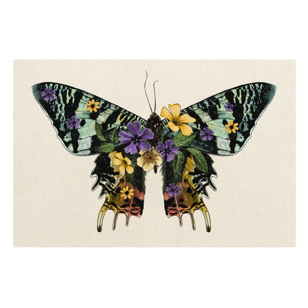 Animal canvas art Illustration Floral Madagascan Butterfly