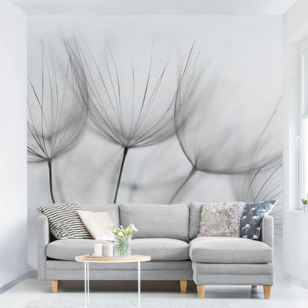 Wallpapers dandelion Inside A Dandelion Black And White