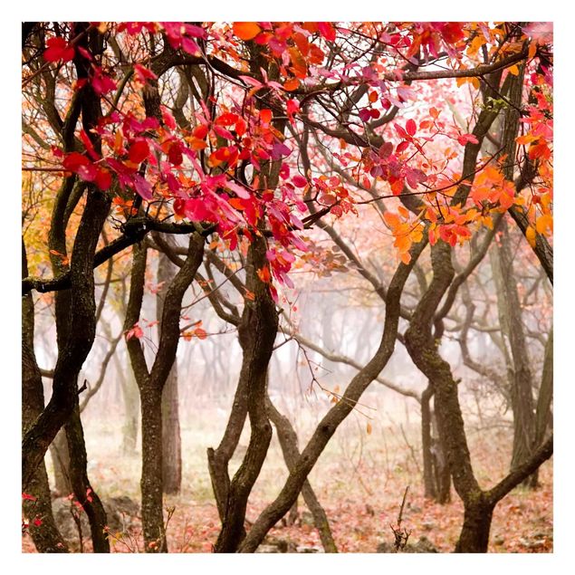 Self adhesive wallpapers Japan In The Fall