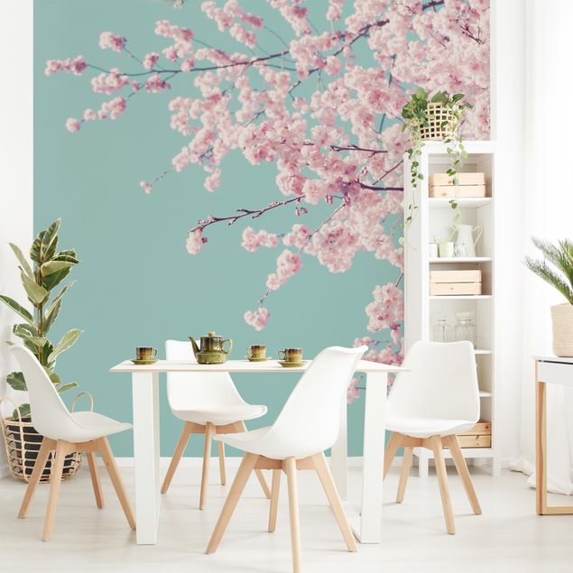 Wallpapers modern Japanese Cherry Blossoms