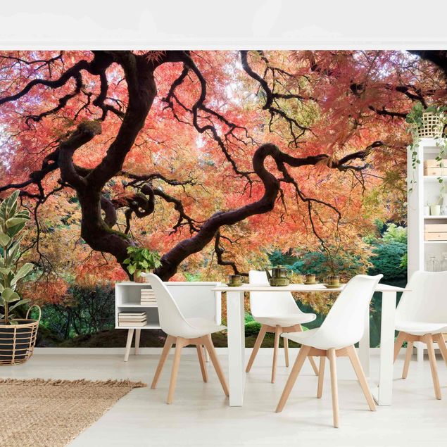 Wallpapers landscape Japanese Garden