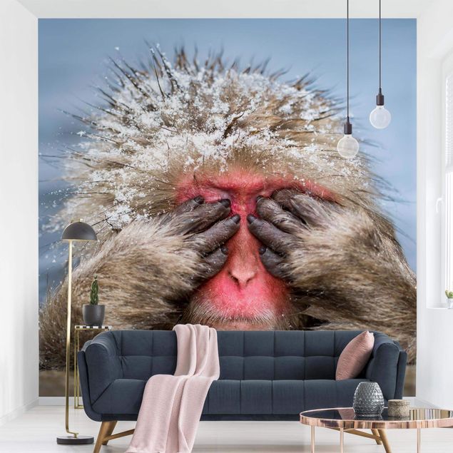 Contemporary wallpaper Japanese Macaque