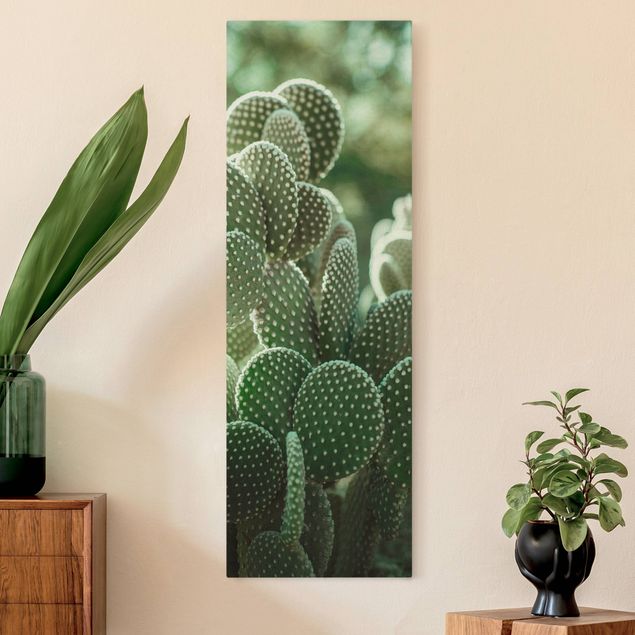 Prints floral Cacti