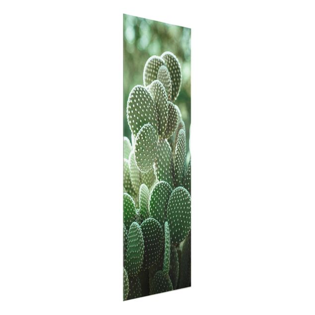 Floral prints Cacti