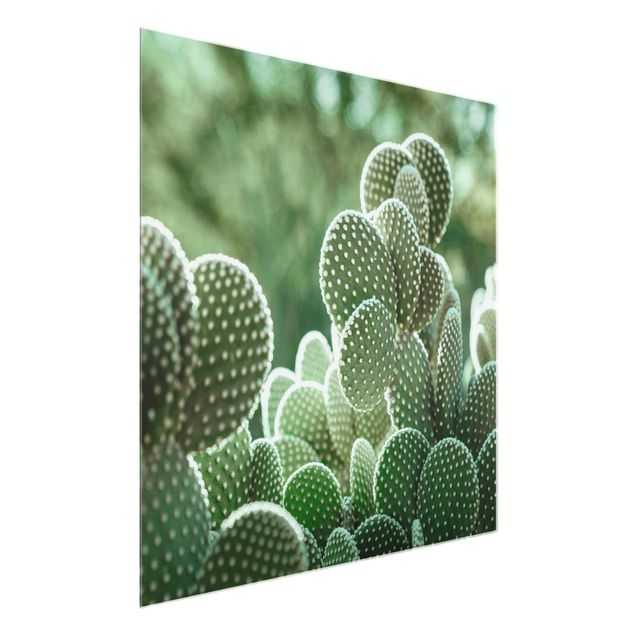 Floral prints Cacti