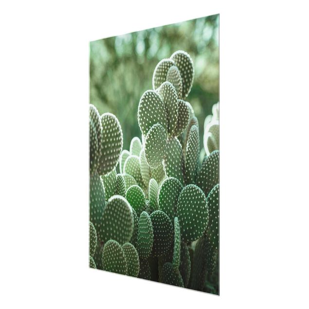 Prints Cacti
