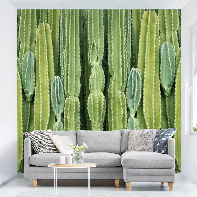Kitchen Cactus Wall