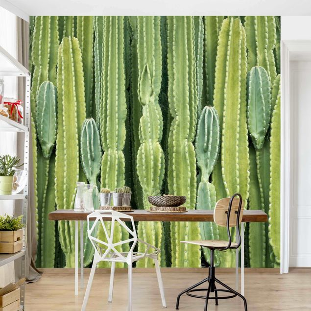 Contemporary wallpaper Cactus Wall