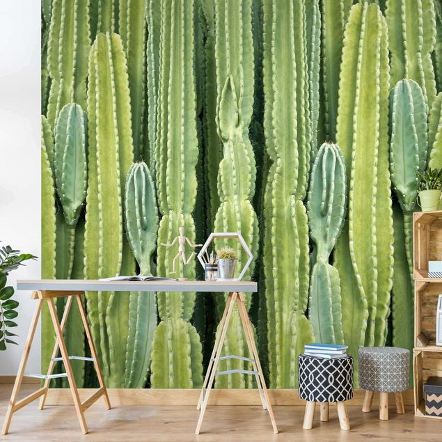 Wallpapers patterns Cactus Wall