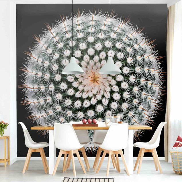 Wallpapers desert Cactus Flower