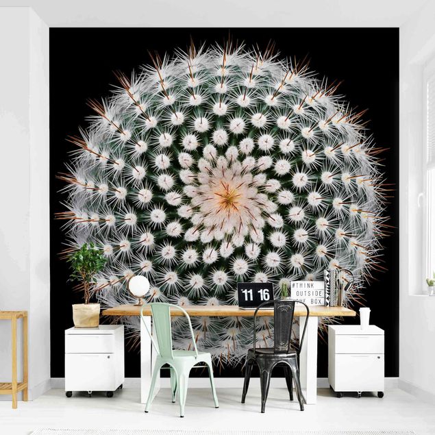 Wallpapers modern Cactus Flower