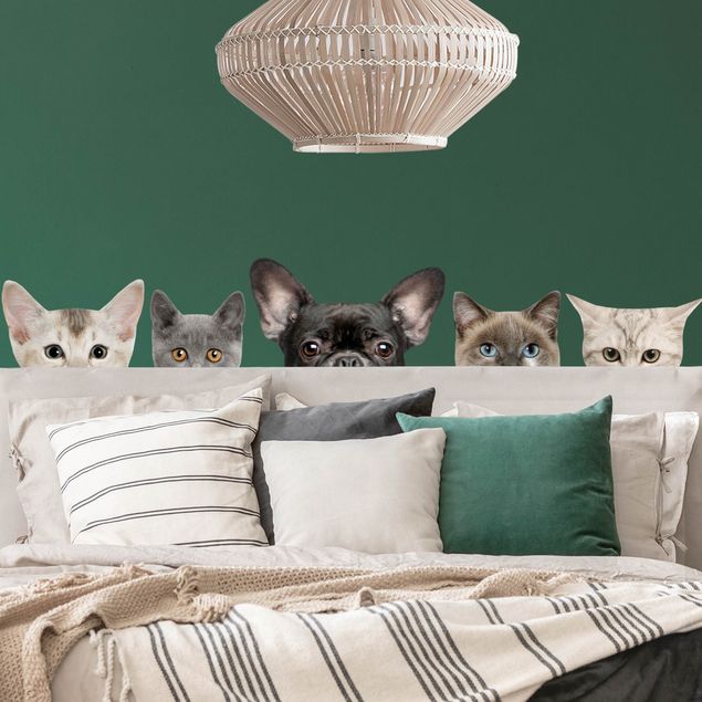 Wall stickers cat Cats with dog look
