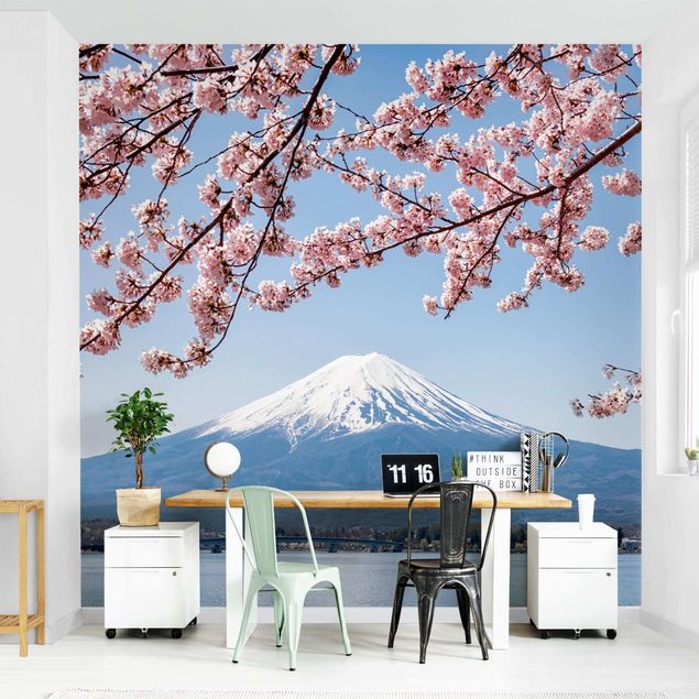 Kitchen Cherry Blossoms With Mt. Fuji