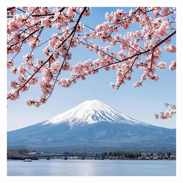 Blue wallpaper Cherry Blossoms With Mt. Fuji