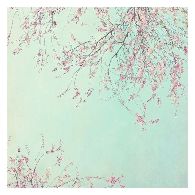 Self adhesive wallpapers Cherry Blossom Yearning