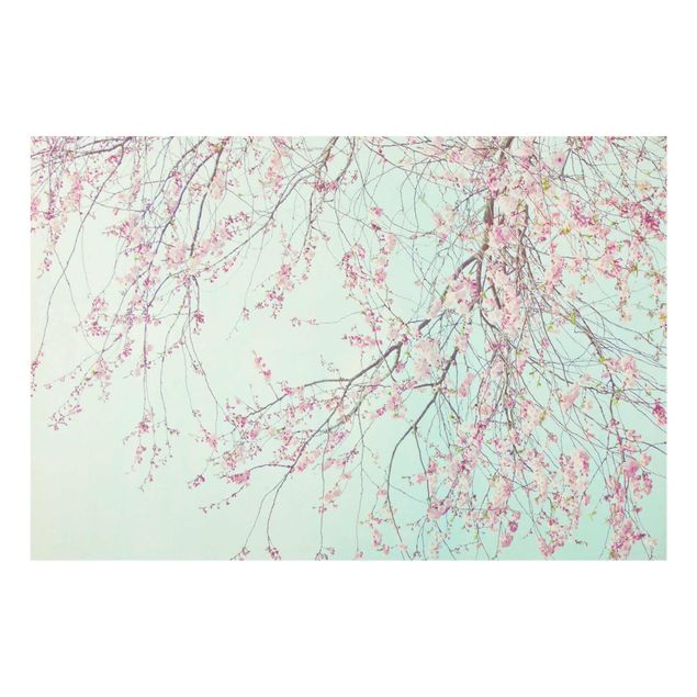 Wall art turquoise Cherry Blossom Yearning