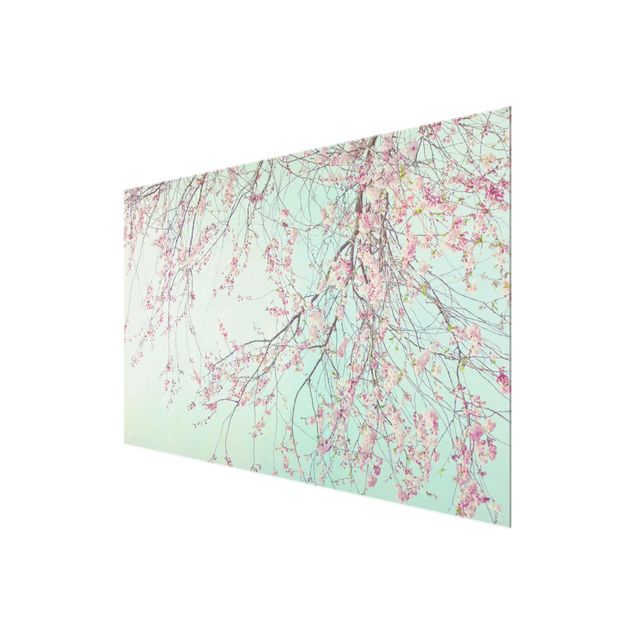 Monika Strigel Art prints Cherry Blossom Yearning