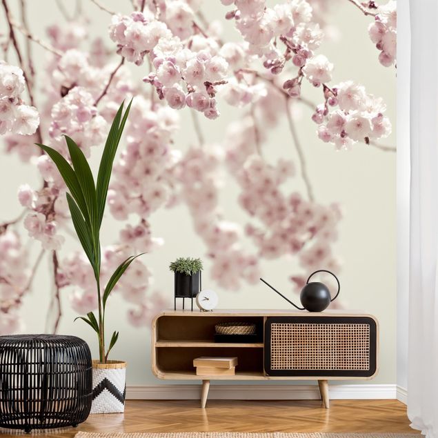 Wallpapers white Dancing Cherry Blossoms