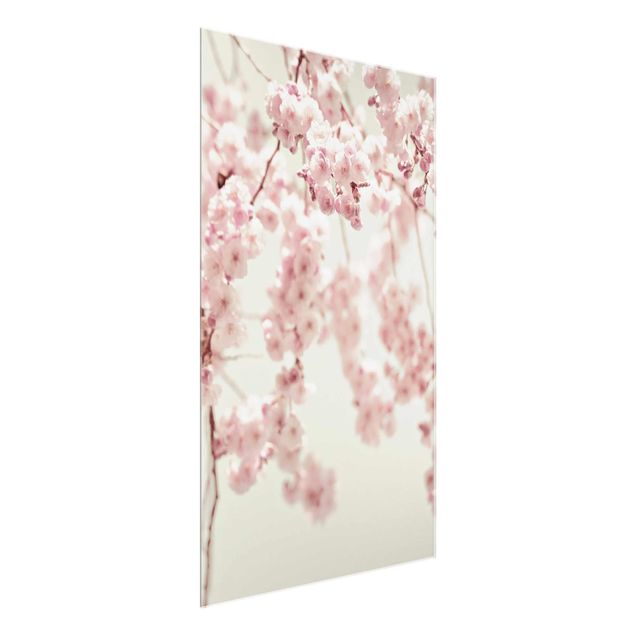 Floral picture Dancing Cherry Blossoms