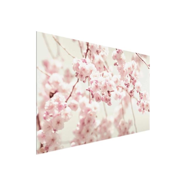 Floral picture Dancing Cherry Blossoms