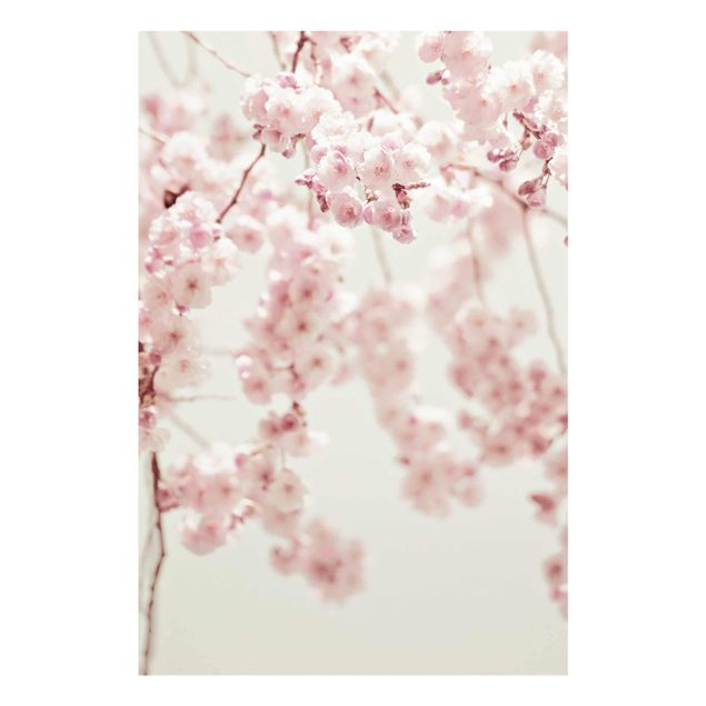 Monika Strigel Art prints Dancing Cherry Blossoms