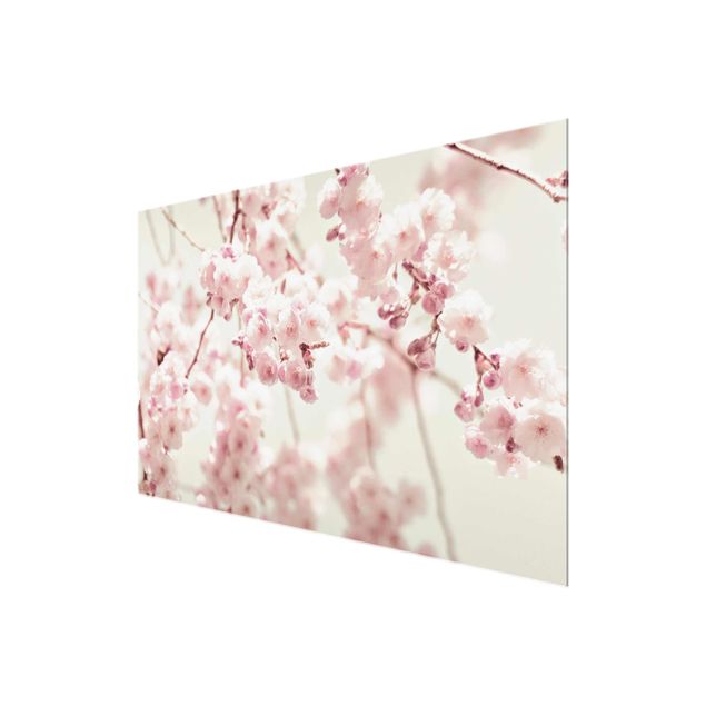 Prints Dancing Cherry Blossoms