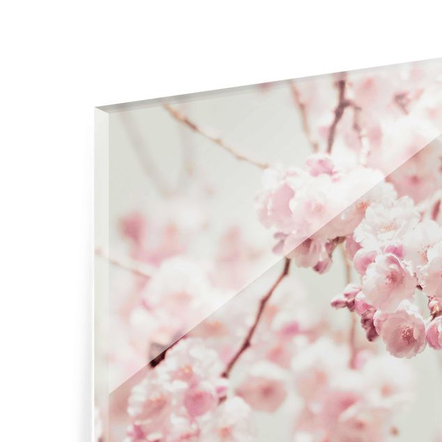 Glas Magnetboard Dancing Cherry Blossoms