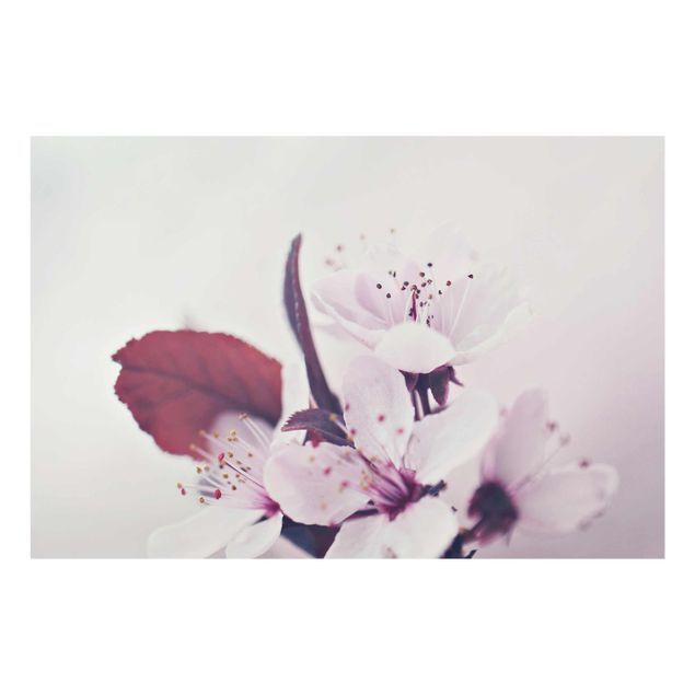 Pink wall art Cherry Blossom Branch Antique Pink