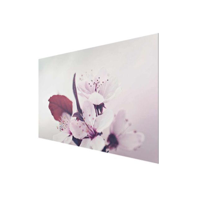 Monika Strigel Art prints Cherry Blossom Branch Antique Pink