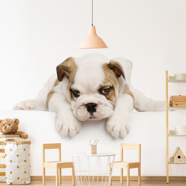 Contemporary wallpaper Little Bulldog