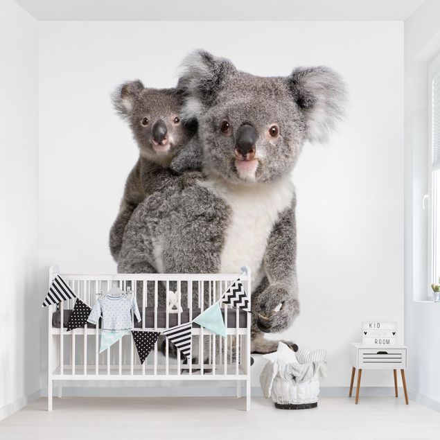 Modern wallpaper designs Koala Bears