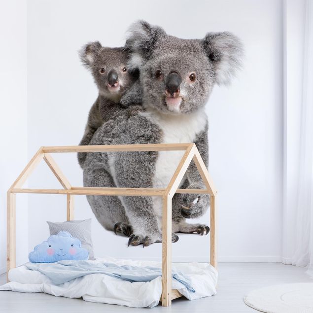 Adhesive wallpaper Koala Bears