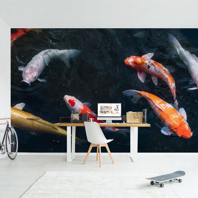 Wallpapers fishes Kois In A Pond
