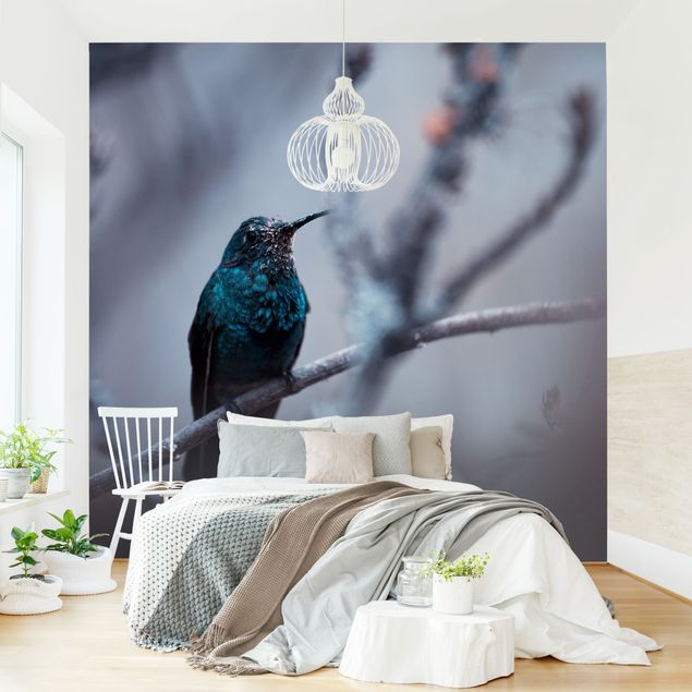 Wallpapers birds Hummingbird In Winter