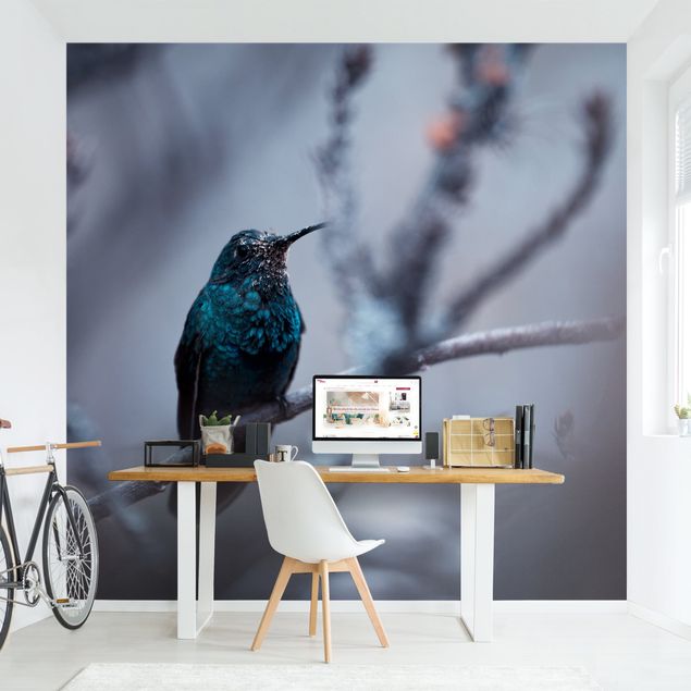 Wallpapers animals Hummingbird In Winter