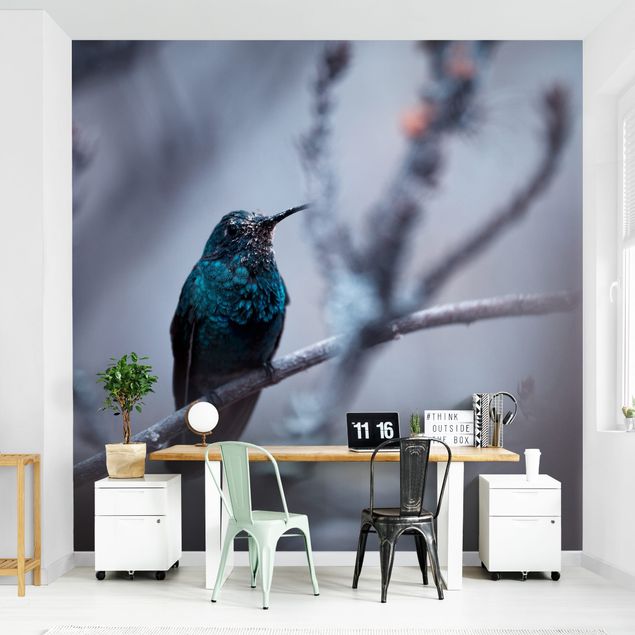 Modern wallpaper designs Hummingbird In Winter