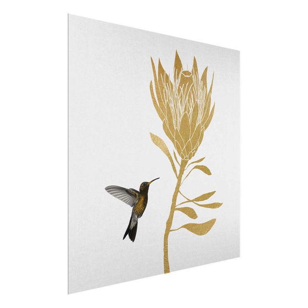 Animal canvas Hummingbird And Tropical Golden Blossom