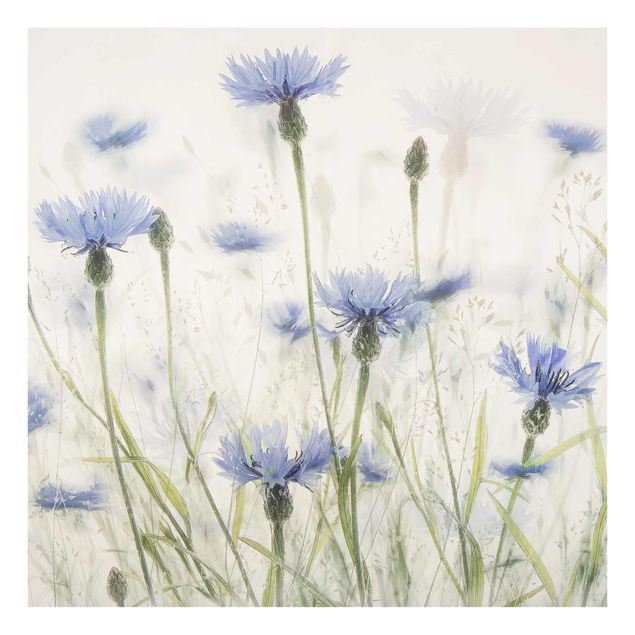 Purple canvas wall art Cornflowers And Grasses In A Field