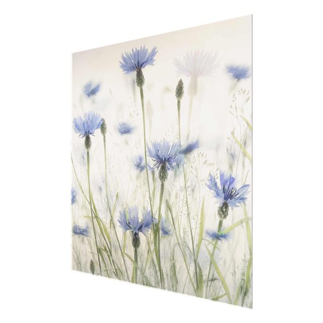 Prints Cornflowers And Grasses In A Field