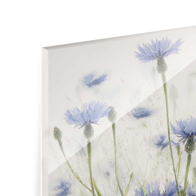 Glas Magnetboard Cornflowers And Grasses In A Field