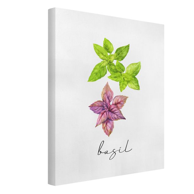 Prints modern Herbs Illustration Basil