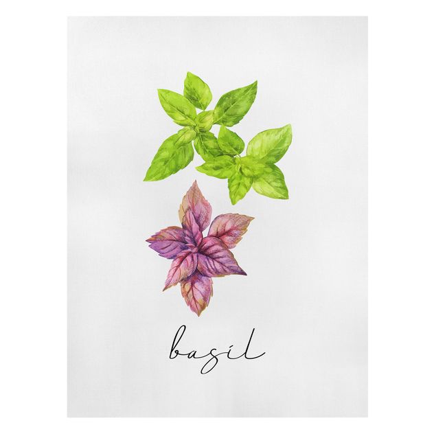 Canvas prints spices and herbs Herbs Illustration Basil