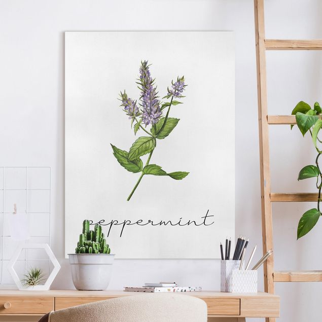 Kitchen Herbs Illustration Pepper Mint