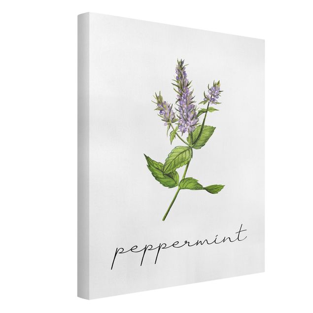 Modern art prints Herbs Illustration Pepper Mint