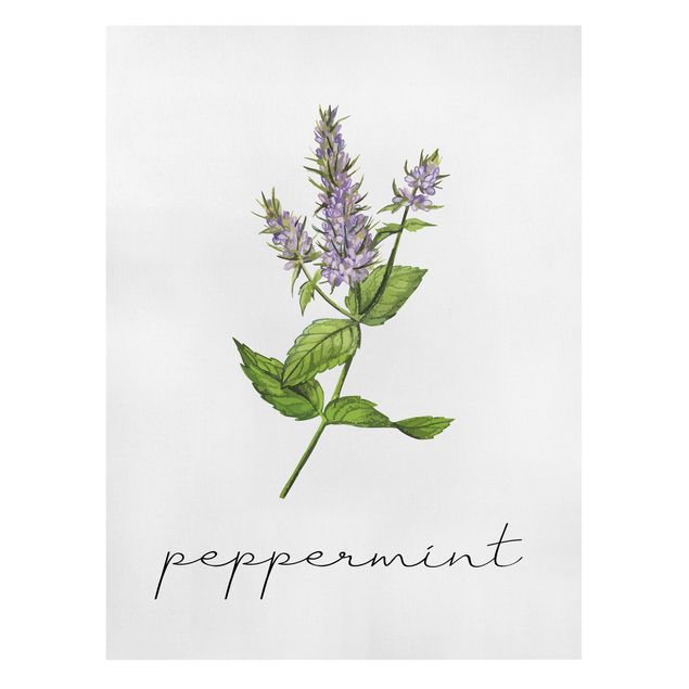 Spices wall art Herbs Illustration Pepper Mint